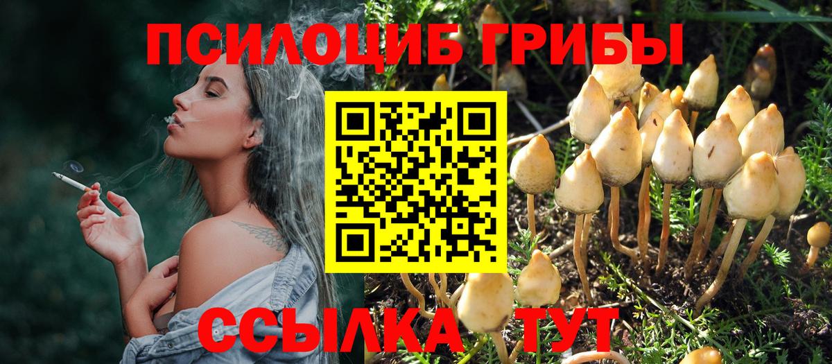 Белебей  купить   Вход с VPN  Галлюциногенные грибы мицелий 